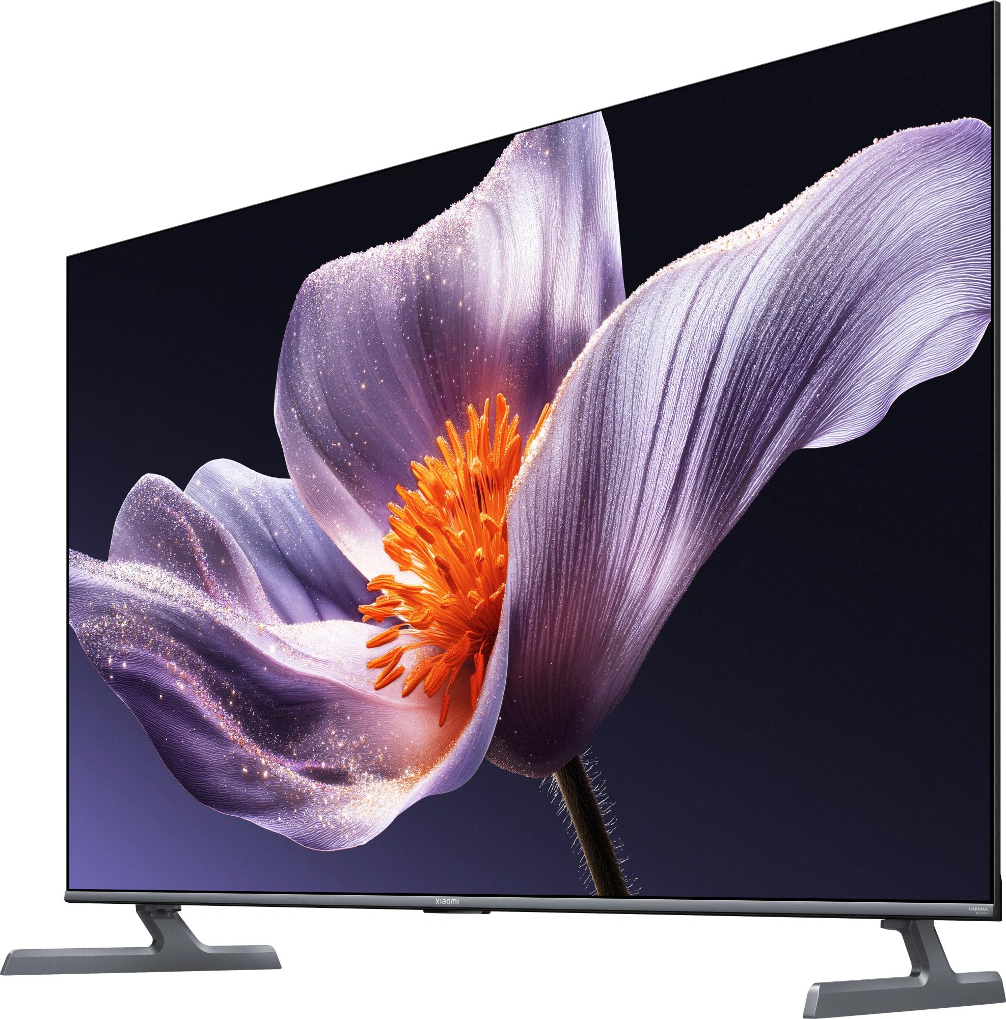 Превью картинка Телевизор Xiaomi L55MB-SRU #16