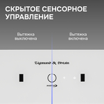 Превью картинка Полновстраиваемая вытяжка Zigmund & Shtain K 171.7 W #4