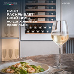 Превью картинка Шкаф винный встраиваемый Meyvel Винный холодильник (шкаф) компрессорный MEYVEL MV52PRO-KWB1 #14