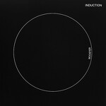 Превью картинка Индукционная варочная панель KRONA FORTE 60 BL #9