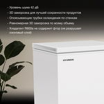 Превью картинка Ларь морозильный  Hyundai CH15081 #6