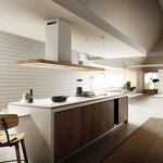 Превью картинка Островная вытяжка Elica BIO ISLAND WH/A/120X53 ROVERE #9