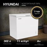 Превью картинка Ларь морозильный  Hyundai CH35081 #3