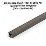 Превью картинка PULSE ТРЭК Декоративная заглушка для шинопровода, 3000 мм, TRACK (TK24-COV-3000-AN) #2