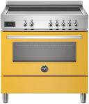 Превью картинка Центр варочный Bertazzoni PRO95I1EGIT #1