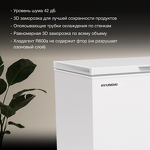 Превью картинка Ларь морозильный  Hyundai CH35081 #6