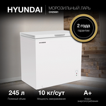 Превью картинка Ларь морозильный  Hyundai CH25081 #3