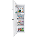 Превью картинка Камера морозильная HIBERG i-FR 40 W #1