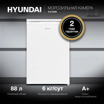 Превью картинка Камера морозильная Hyundai CU1009 #2
