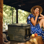 Превью картинка Холодильник Холодильник автомобильный Meyvel AF-U55-travel #2