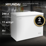 Превью картинка Ларь морозильный  Hyundai CH25031 #3