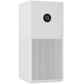 Картинка Xiaomi BHR5274GL