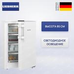Превью картинка Камера морозильная Liebherr Fe 1404 #1