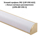 Превью картинка PULSE Заглушка торцевая для СМ1/CM2, золото матовое (LSPA-CAP-CM1/2-GL) #5