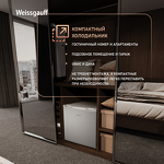 Превью картинка Холодильник с одной дверцей Weissgauff WR-046 Defrost Silver #7