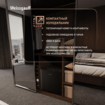 Превью картинка Холодильник с одной дверцей Weissgauff WR-046 Defrost Black #7
