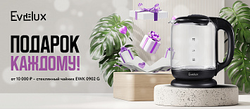 Подарок каждому Evelux